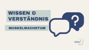 Muskelwachstum