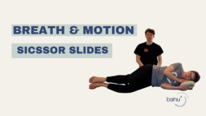 Sicssor Slides