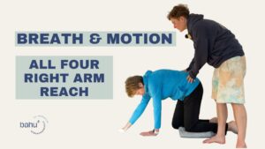 All Four right arm reach